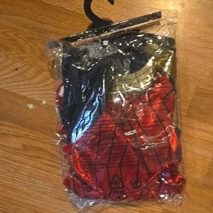 Red and Gold Costume with Black Accents